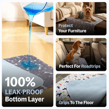 PupPad in use lifestyle