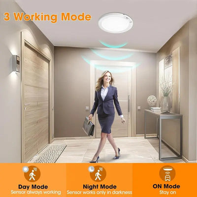 Motion Sensor Ceiling Light