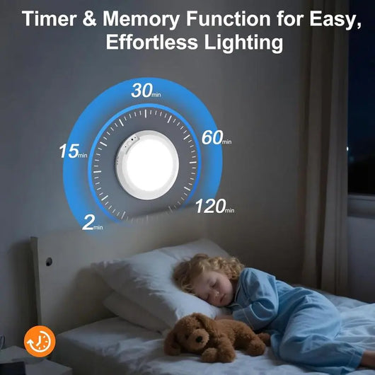 Motion Sensor Ceiling Light