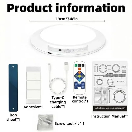 Motion Sensor Ceiling Light