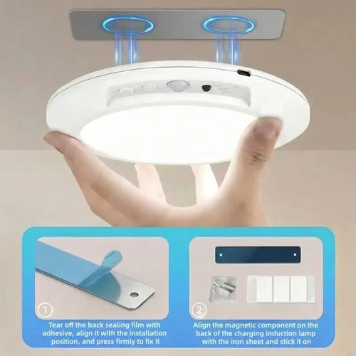Motion Sensor Ceiling Light