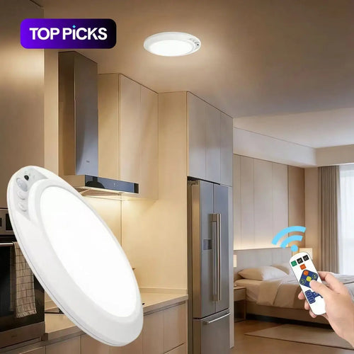 Motion Sensor Ceiling Light