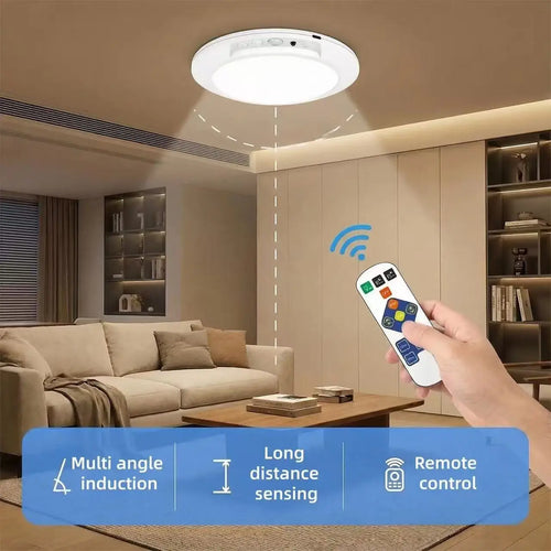 Motion Sensor Ceiling Light