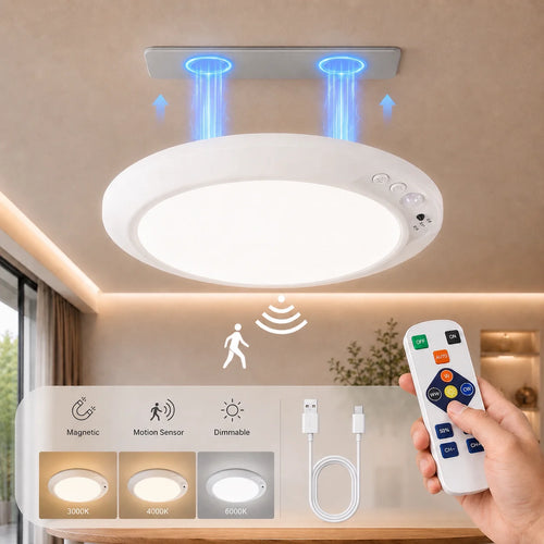 Motion Sensor Ceiling Light