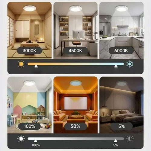 Motion Sensor Ceiling Light